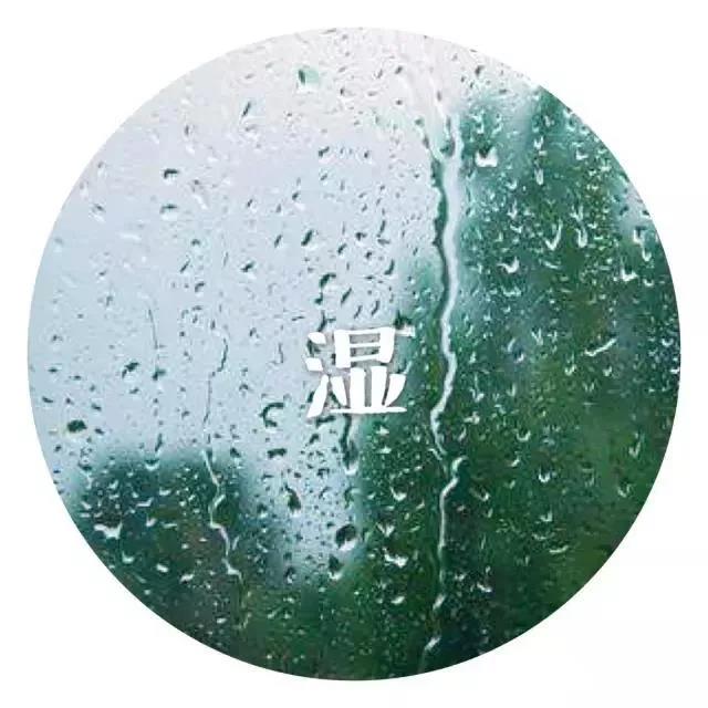 养发养生