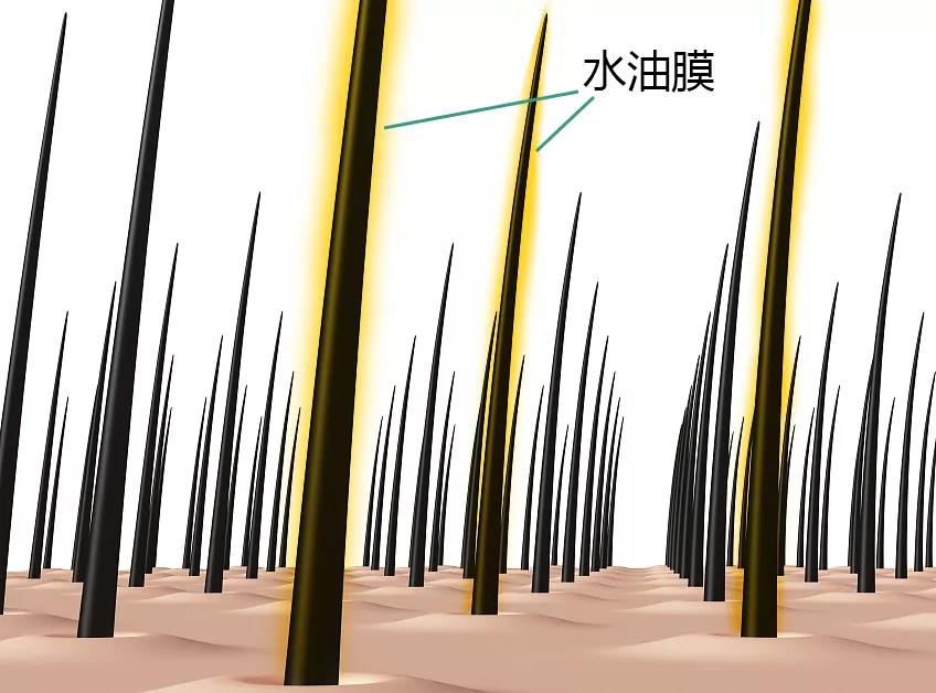 养发知识
